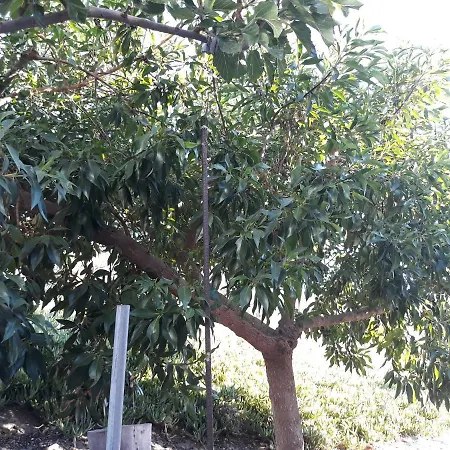 דירה Elena House קלמאקי